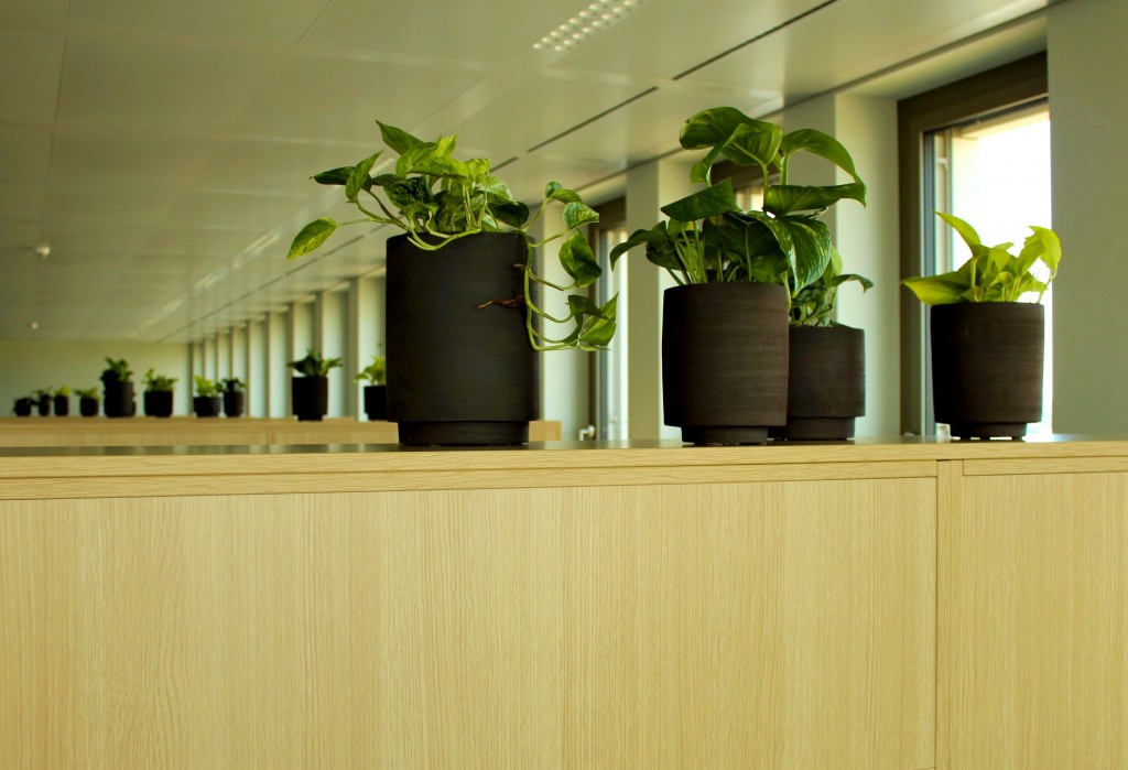 Une analyse complète de vos espaces intérieurs